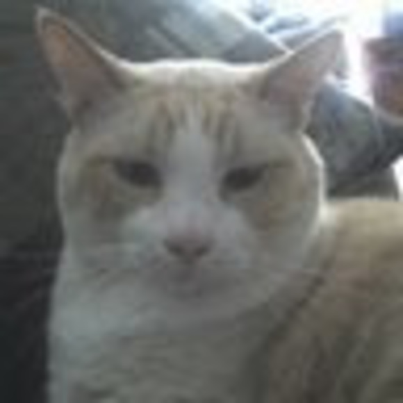 Meet your Posher, Vicki - Picture 1 of 1